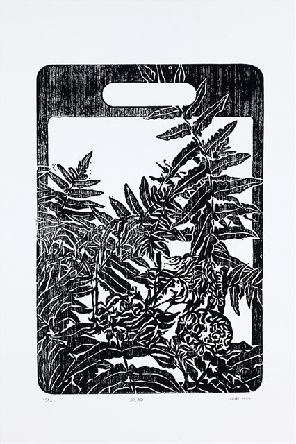 過貓(過溝山蕨)的圖片