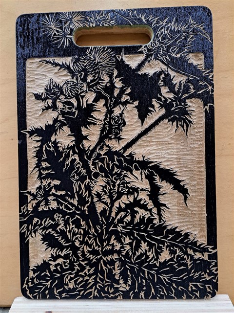Formosan Thistle