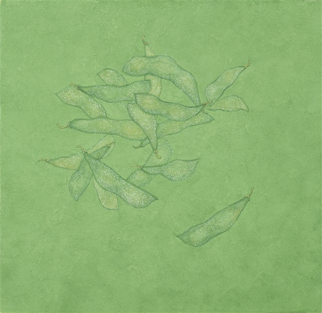 Daily Collection–Green Soybeans