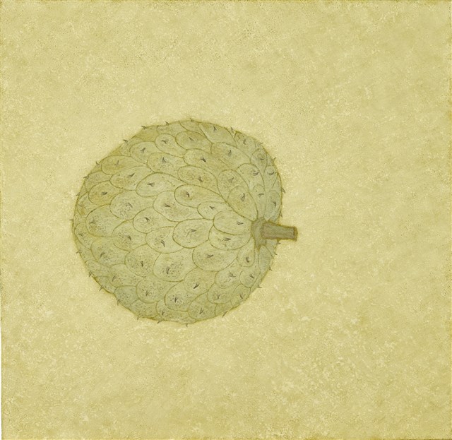 Daily Collection–Annona Muricata