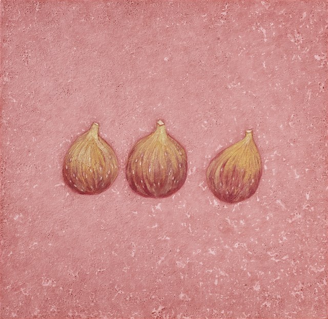 Daily Collection–Figs