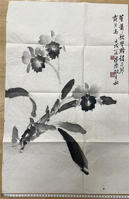 墨蘭的圖片