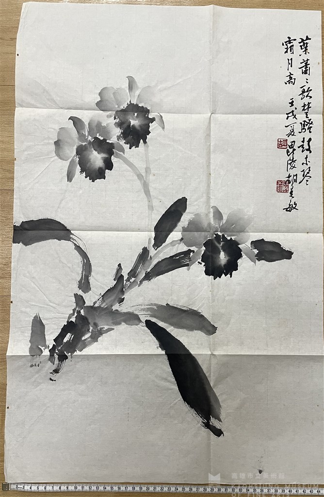 大圖瀏覽
