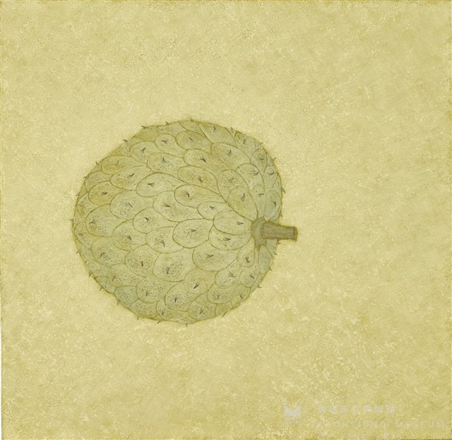 日常採集-阿那那藏品圖，第1張