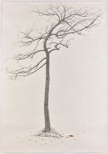 犧牲樹 後傳藏品圖，第2張