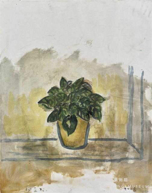 Potted Plant by the Window Collection Image
