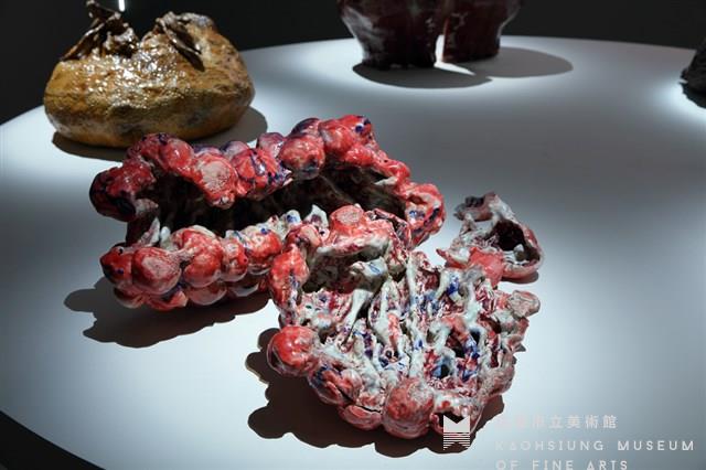 Personal Tortuous History of Flesh: Field of Vitality--Raspberry Collection Image