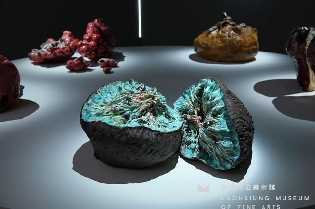 Personal Tortuous History of Flesh:Field of Vitality--Fiber of Kiwi Collection Image