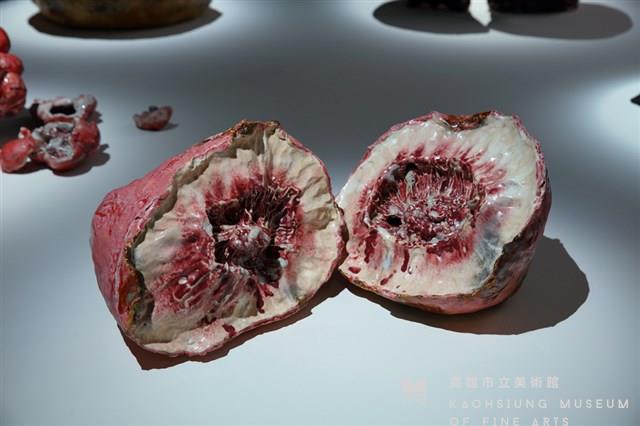 Personal Tortuous History of Flesh: Field of Vitality--Red Seen in the Eyes Collection Image