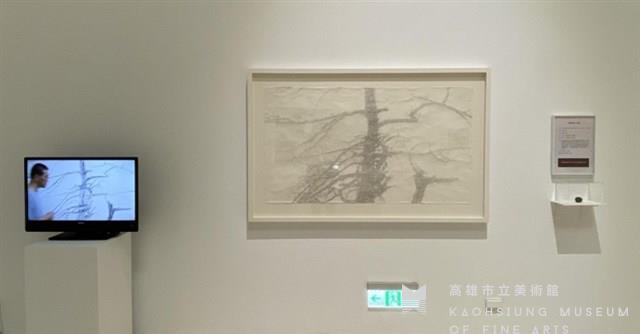 犧牲樹 正傳藏品圖，第1張