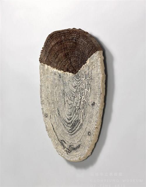 皺紋藏品圖，第2張