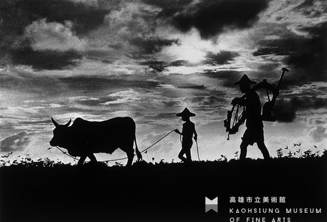 歸途藏品圖，第1張