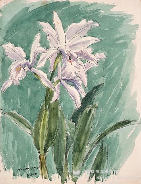 洋蘭(一)藏品圖，第1張