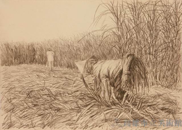 The Harvest of Sugarcane III Collection Image