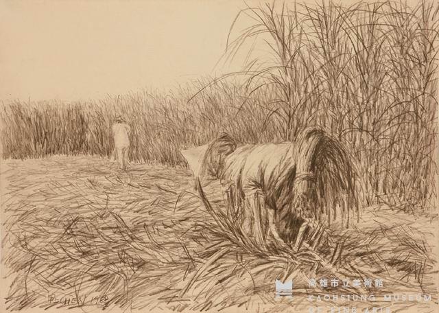 The Harvest of Sugarcane III Collection Image