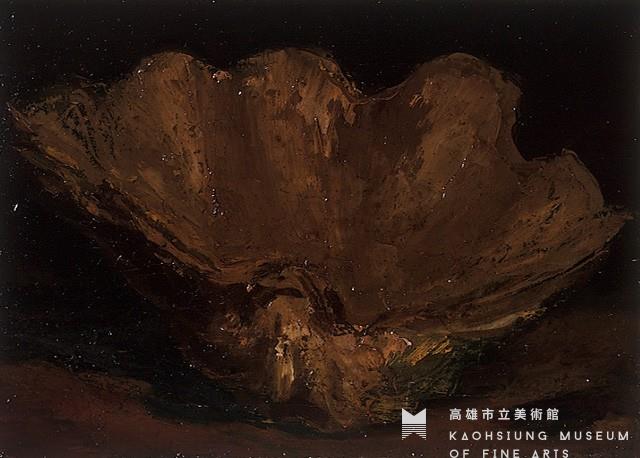 貝殼藏品圖，第1張