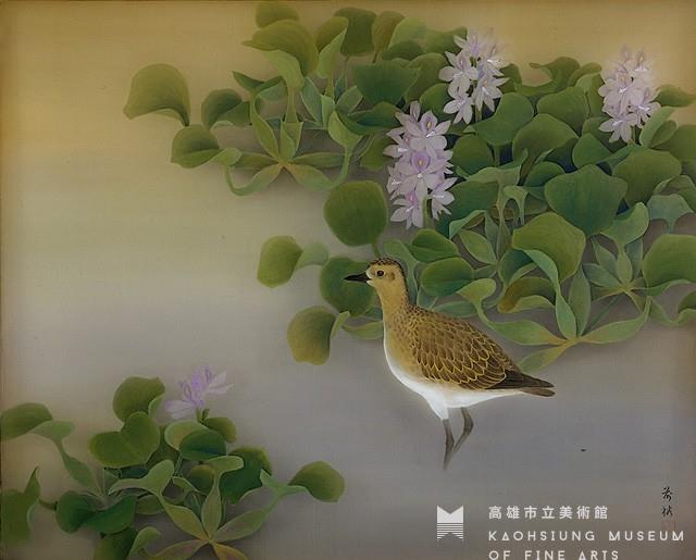 金斑鴴藏品圖，第1張