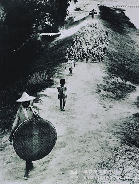 養鴨人家藏品圖，第1張