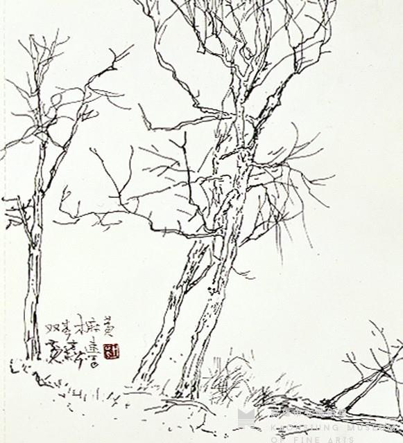 雙春木麻黃藏品圖，第1張