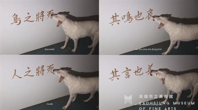 犬僧：論語選藏品圖，第1張