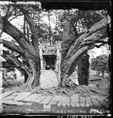 古樹與小廟藏品圖，第1張