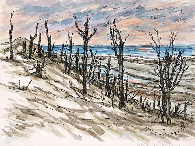 白沙灣海岸(一)藏品圖，第1張