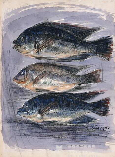 吳郭魚藏品圖，第1張