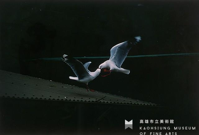 爭食藏品圖，第1張