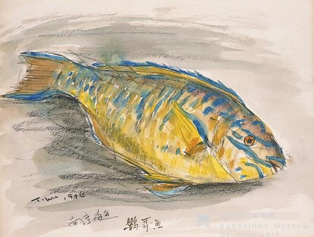 鸚哥魚藏品圖，第1張
