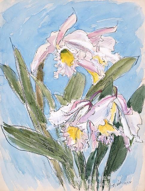 洋蘭(二)藏品圖，第1張