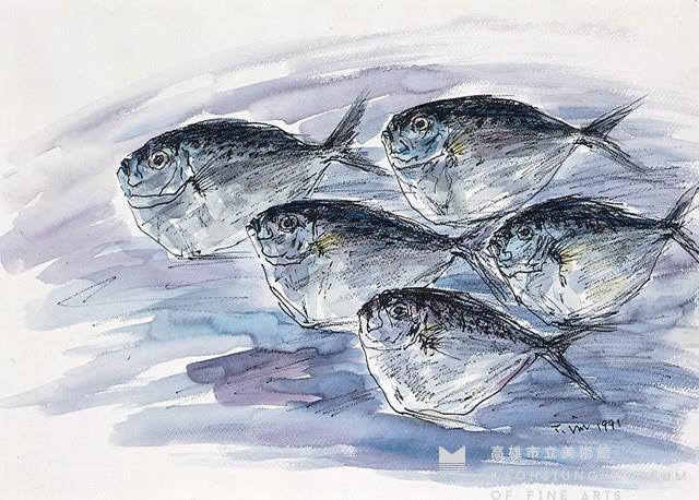 皮刀魚藏品圖，第1張