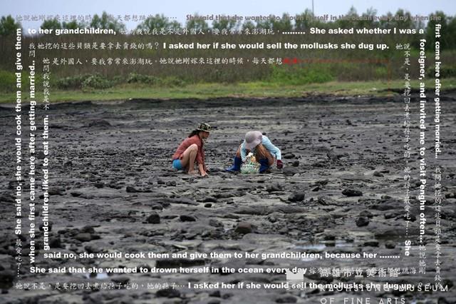 地表繁衍--五德潮間帶藏品圖，第1張