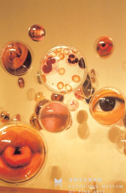 海洋裡的生命密碼 Ⅱ藏品圖，第1張