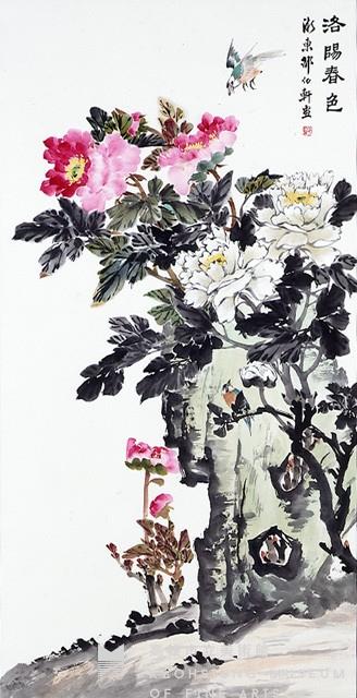 Peonies Collection Image