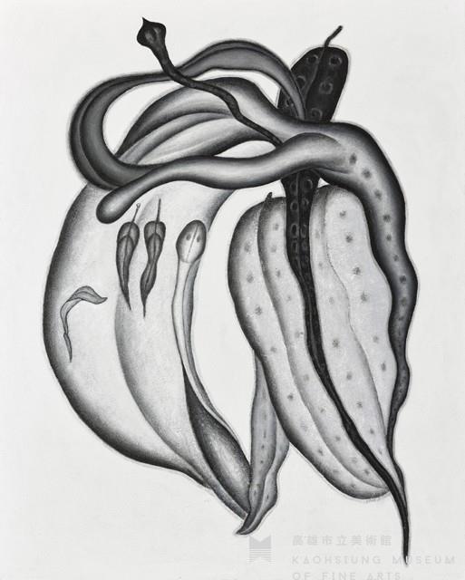 Stretching and Swimming Collection Image