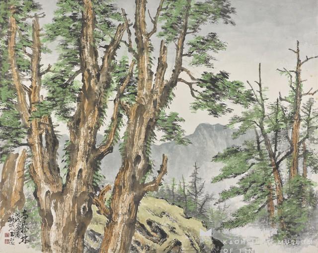 Alpine Juniper Forest Collection Image