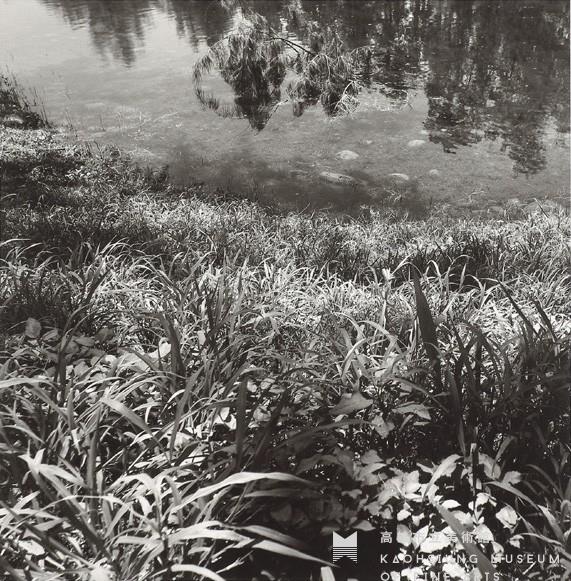 The Wild Goose Has No Intention of Leaving Traces (Taitung Forest Park) Collection Image