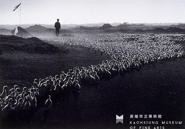養鴨人家藏品圖，第1張