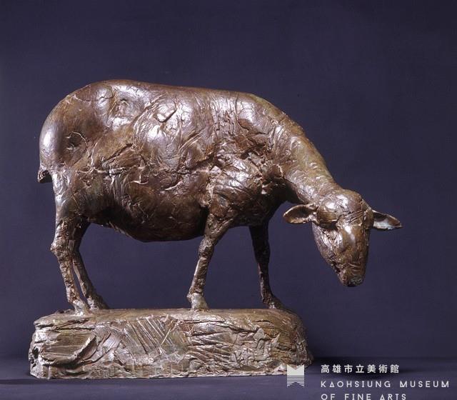 Search Collection Image