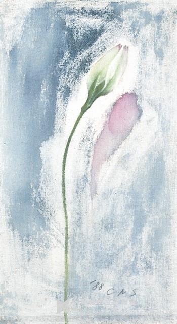 Four  Seasons Collection Image, Figure 3, Total 4 Figures