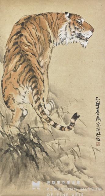 Tiger Collection Image
