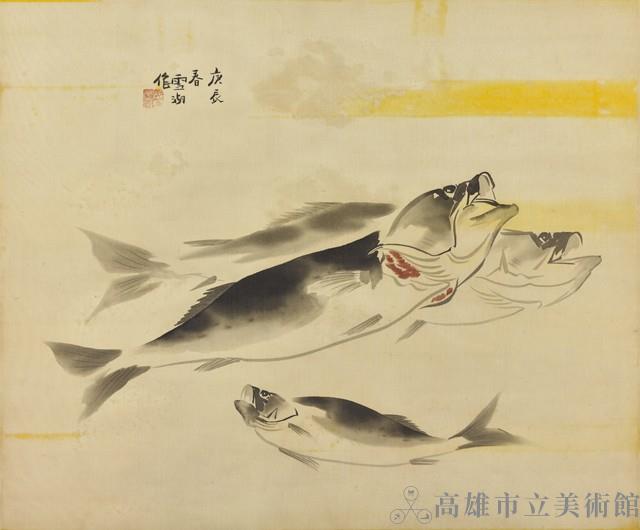Fish Collection Image
