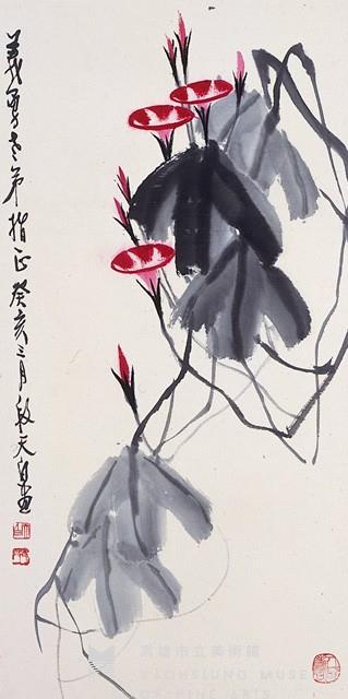 牽牛花藏品圖，第1張