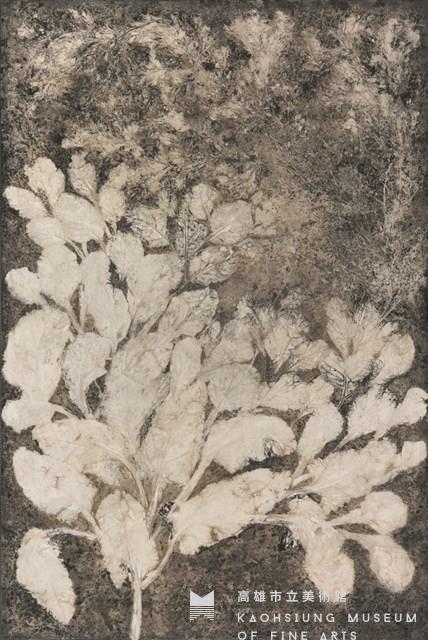 History of Plant-8 Collection Image