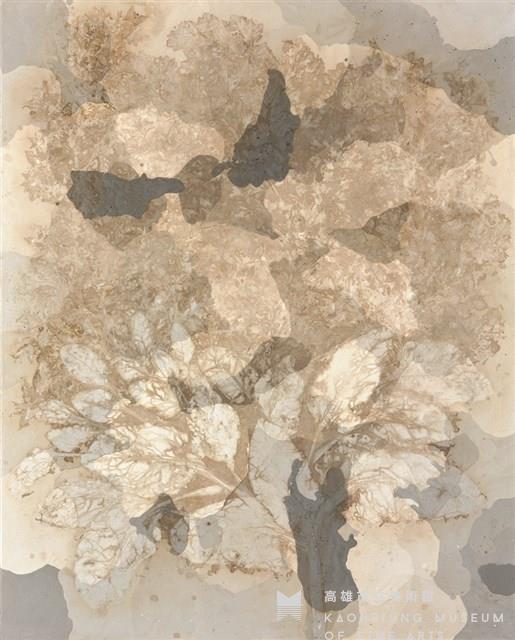 植物史-5藏品圖，第1張