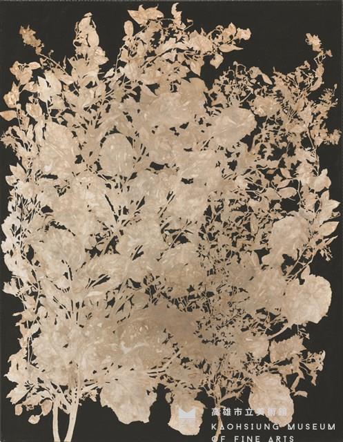 原植物-3藏品圖，第1張