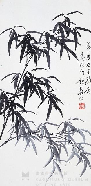 Bamboo Collection Image