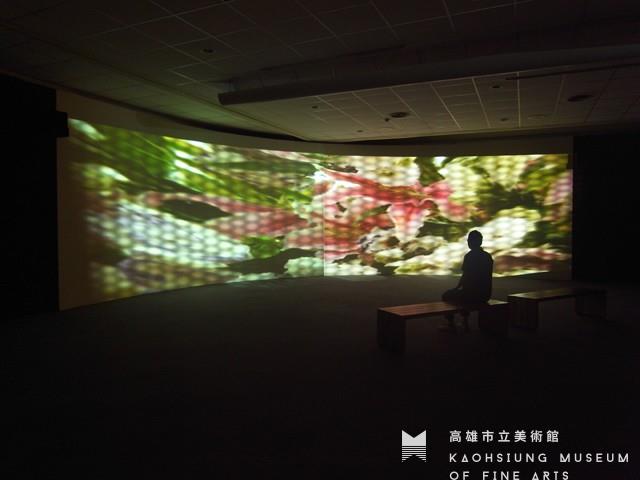 The Compound Eyes Collection Image