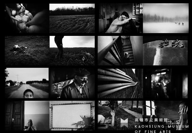 蒸發藏品圖，第1張