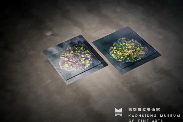 池塘藏品圖，第1張